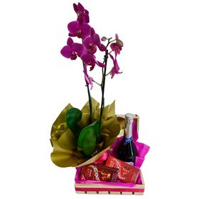 Orquídea, espumante e chocolates